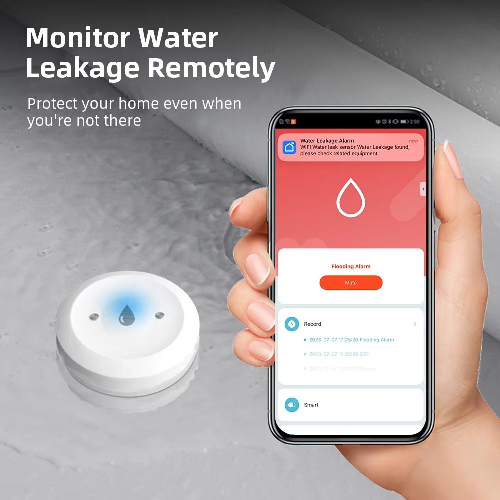 Alarm Fonksiyonu ZigBee Su Sen - Smart Home Zigbee 3.0 incelemesi ve fiyatı