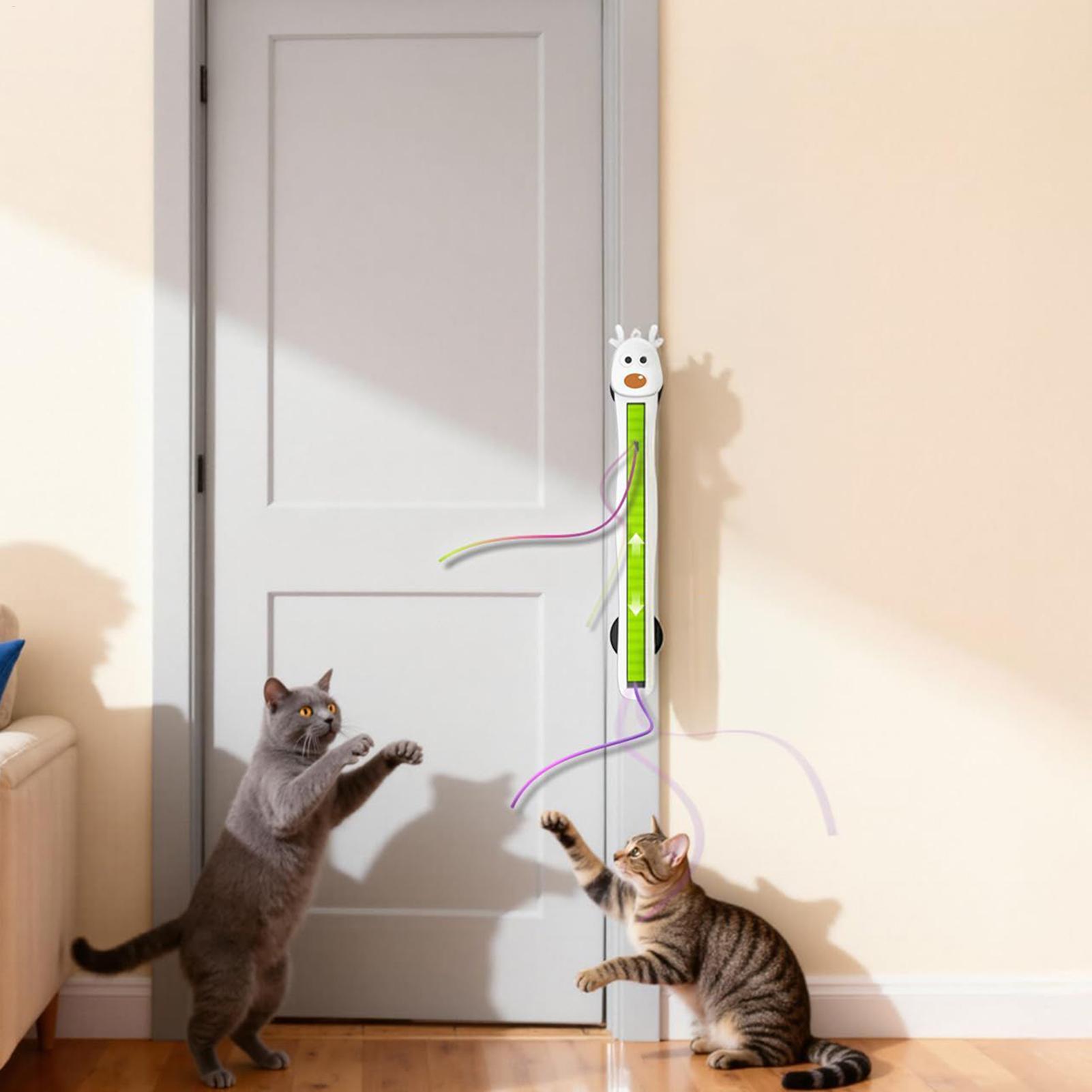 Elektronik Kedi Oyuncakları Du - Smart Home Utensils incelemesi ve fiyatı